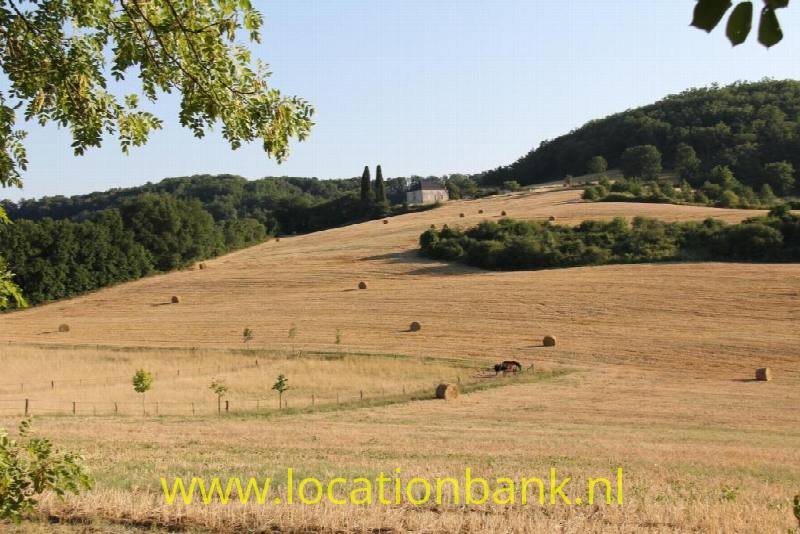 foto_50727