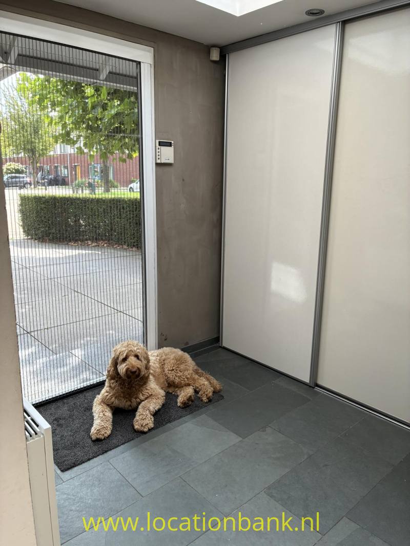 Alles is van begane grond, woonkamer