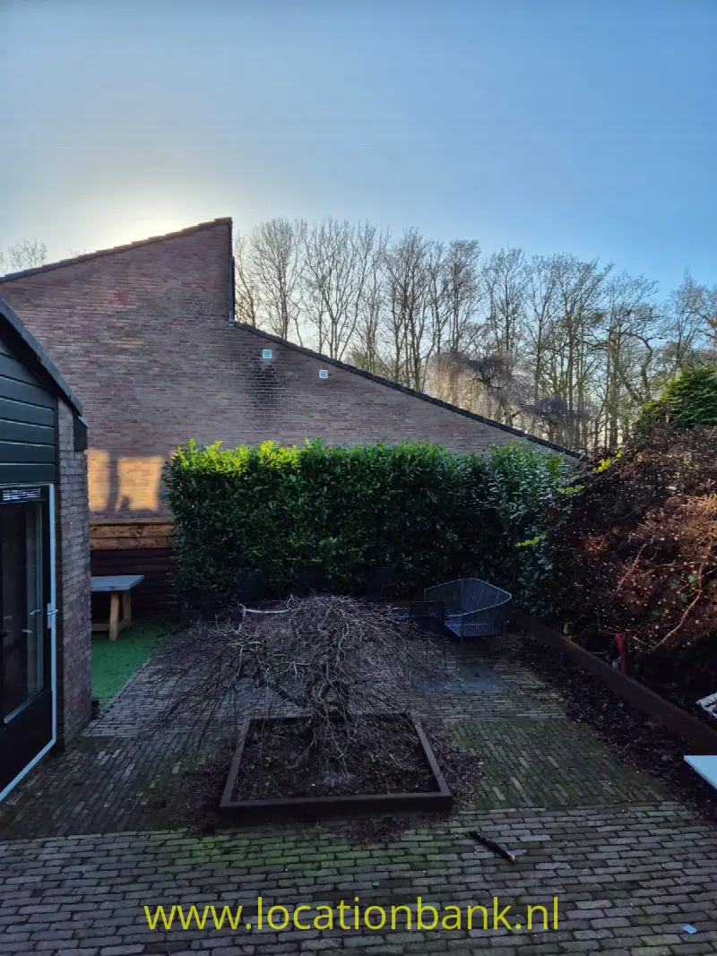Tuin