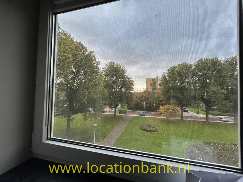 foto_51694