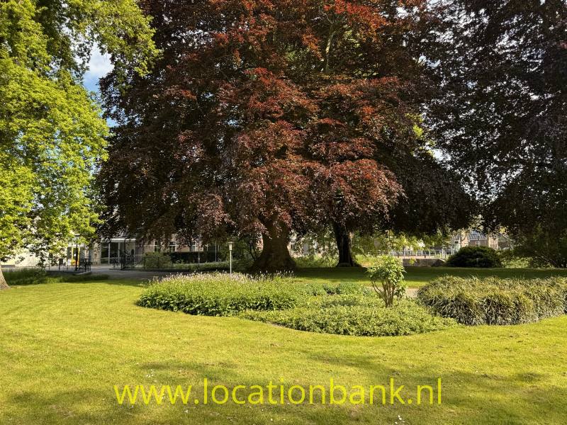 foto_52169