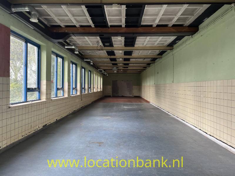 foto_52349