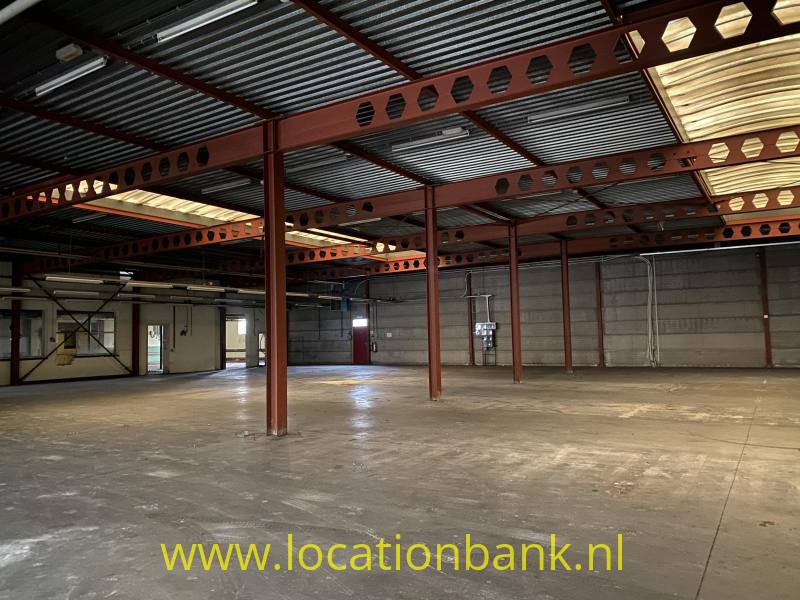 foto_53554