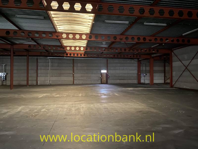 foto_53555