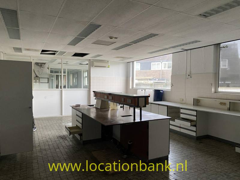 foto_53558