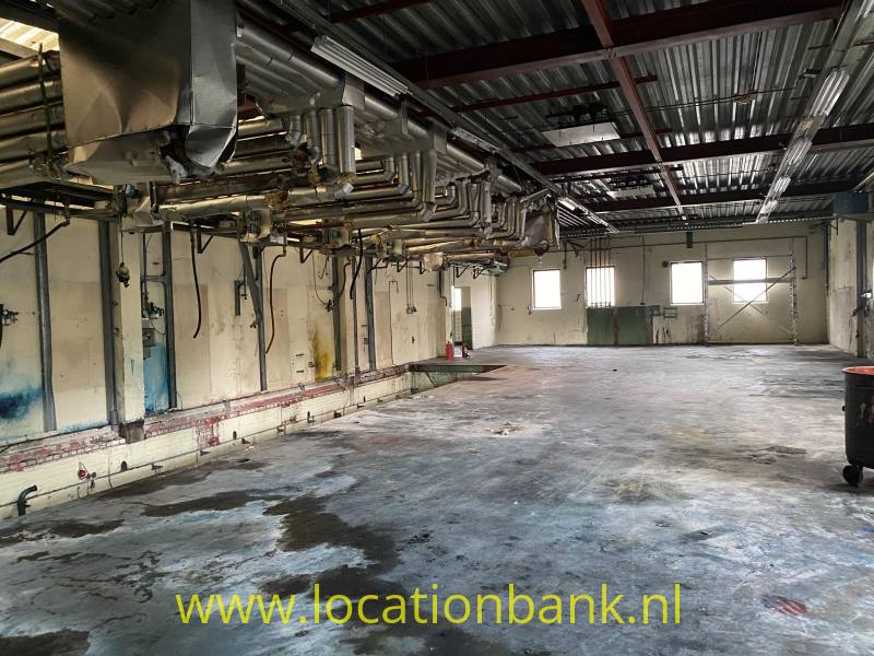 foto_53559