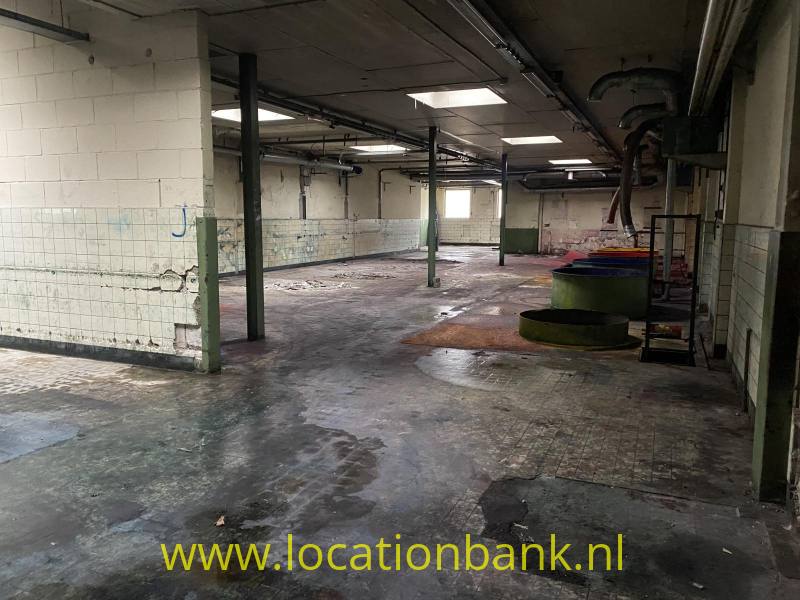 foto_53561