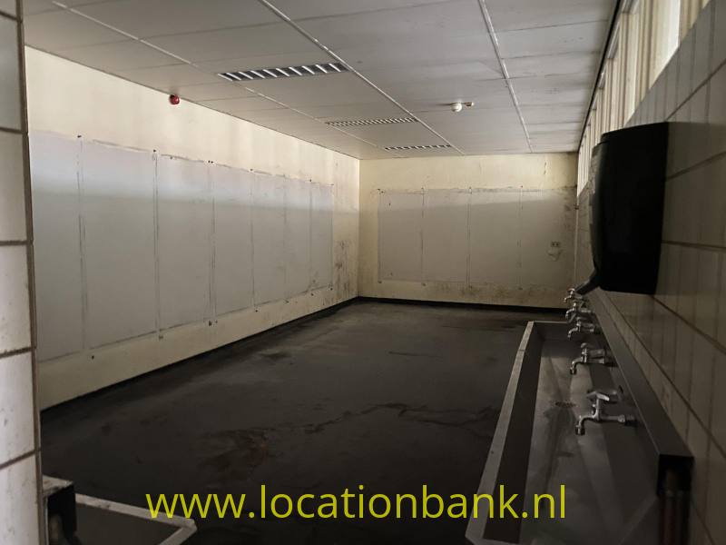 foto_53566