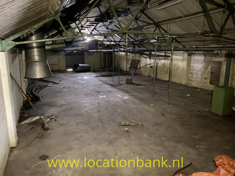 foto_53572