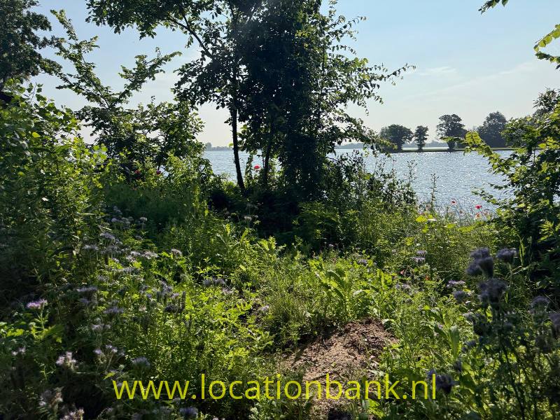 foto_52951