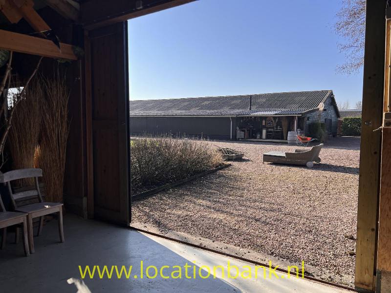 foto_53051