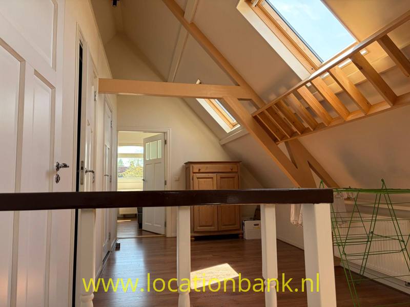 foto_53538
