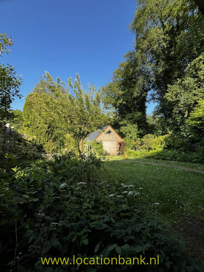 foto_53981