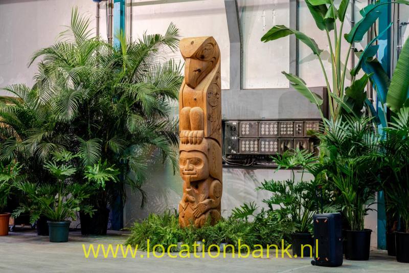 foto_54016