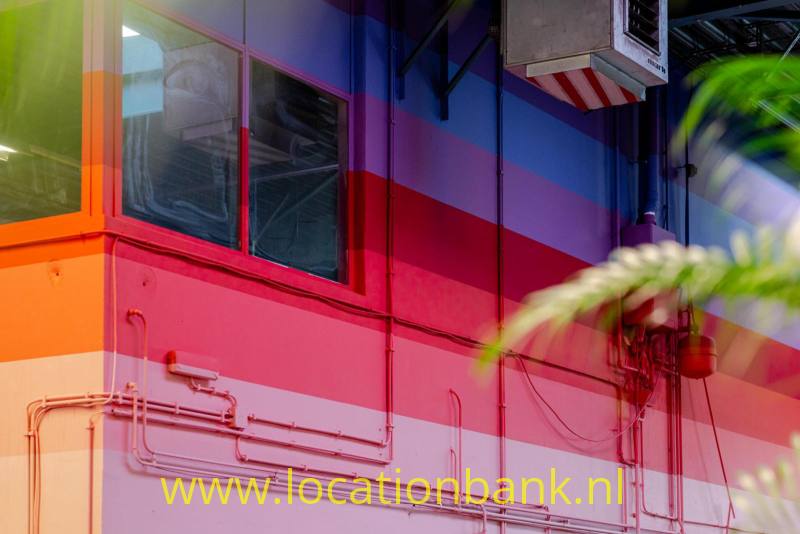 foto_54019