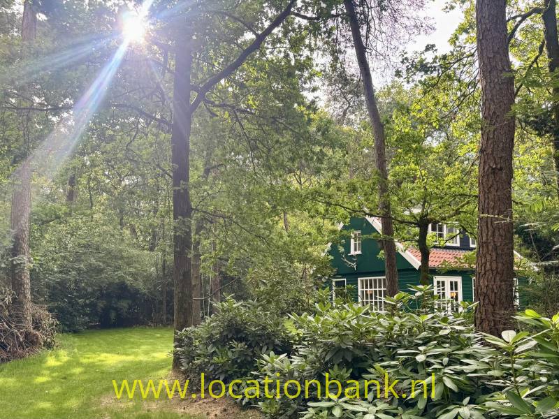 foto_54073