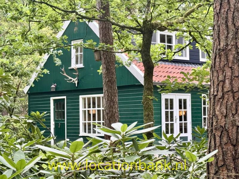 foto_54074