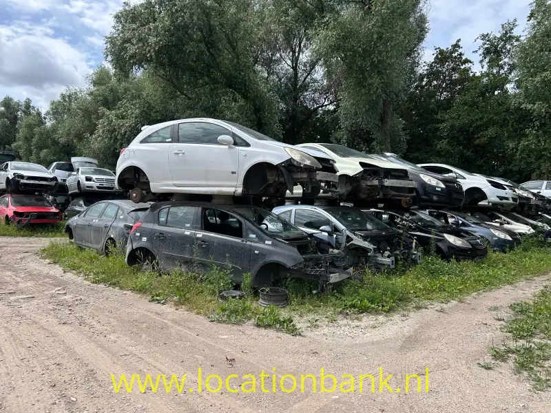 terrein 12