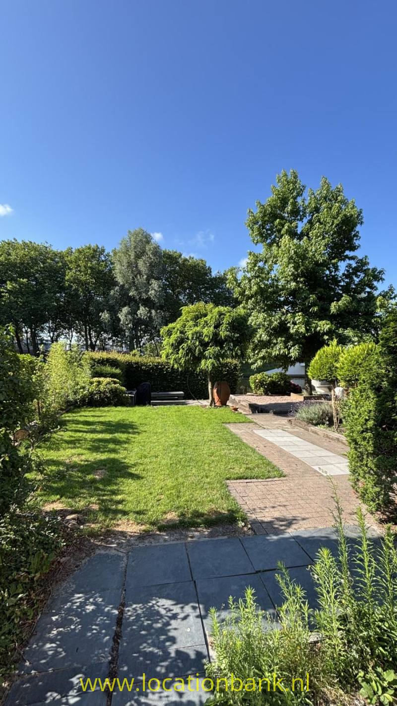 foto_54354