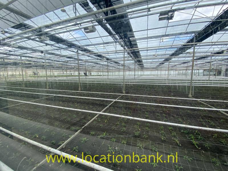 foto_54457