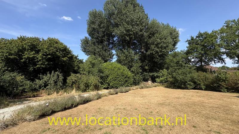 foto_54626