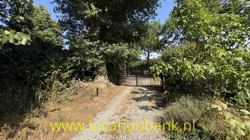 foto_54627
