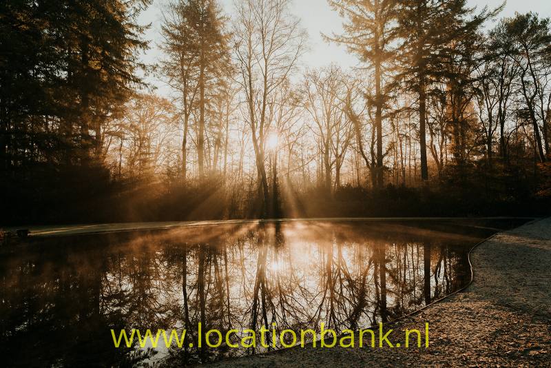 foto_54655