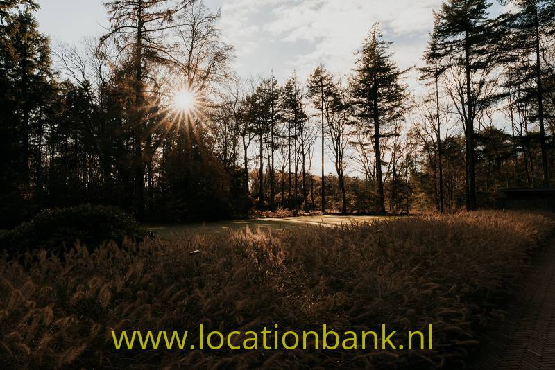 foto_54662