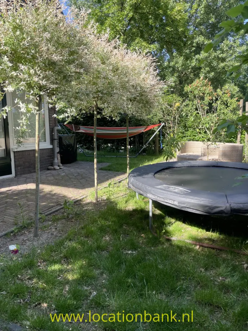 Een trampoline in een groene tuin naast een hangmat en een betegeld terras.
