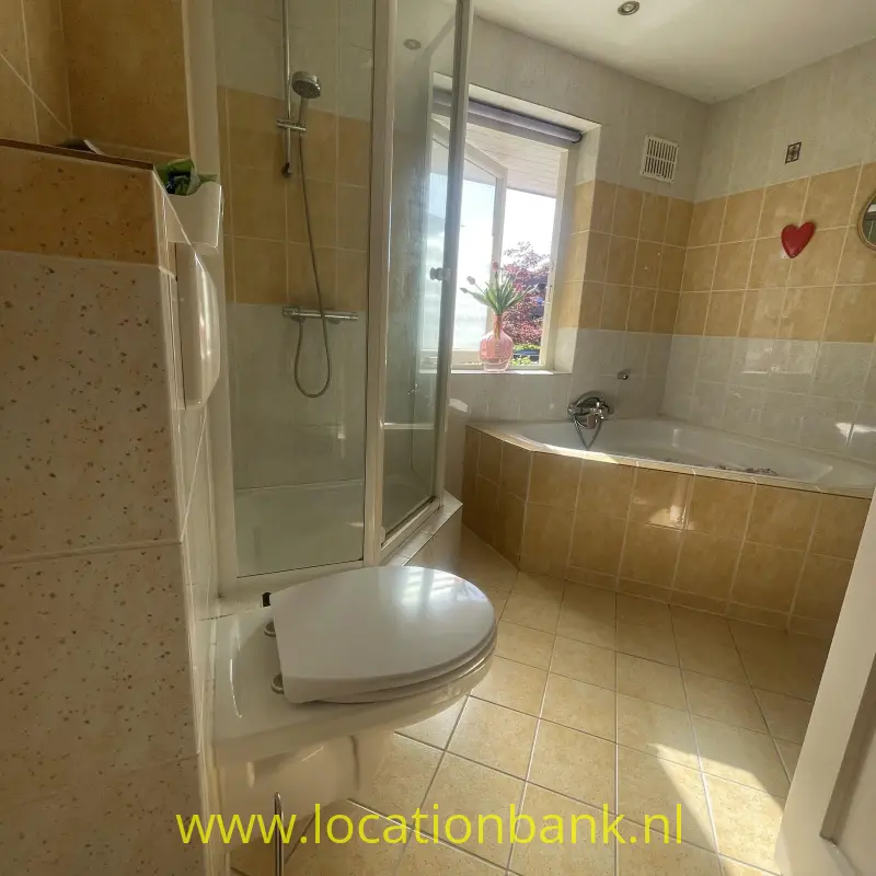 Dertiger jaren Betegelde ouderwetse badkamer met een douchecabine, ligbad, toilet en raam met een plant.