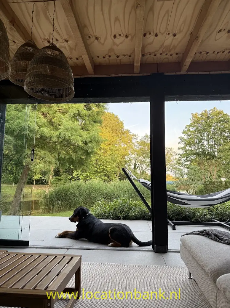 Een zwartbruine hond ligt op het terras naast een hangmat, met een groene tuin op de achtergrond.