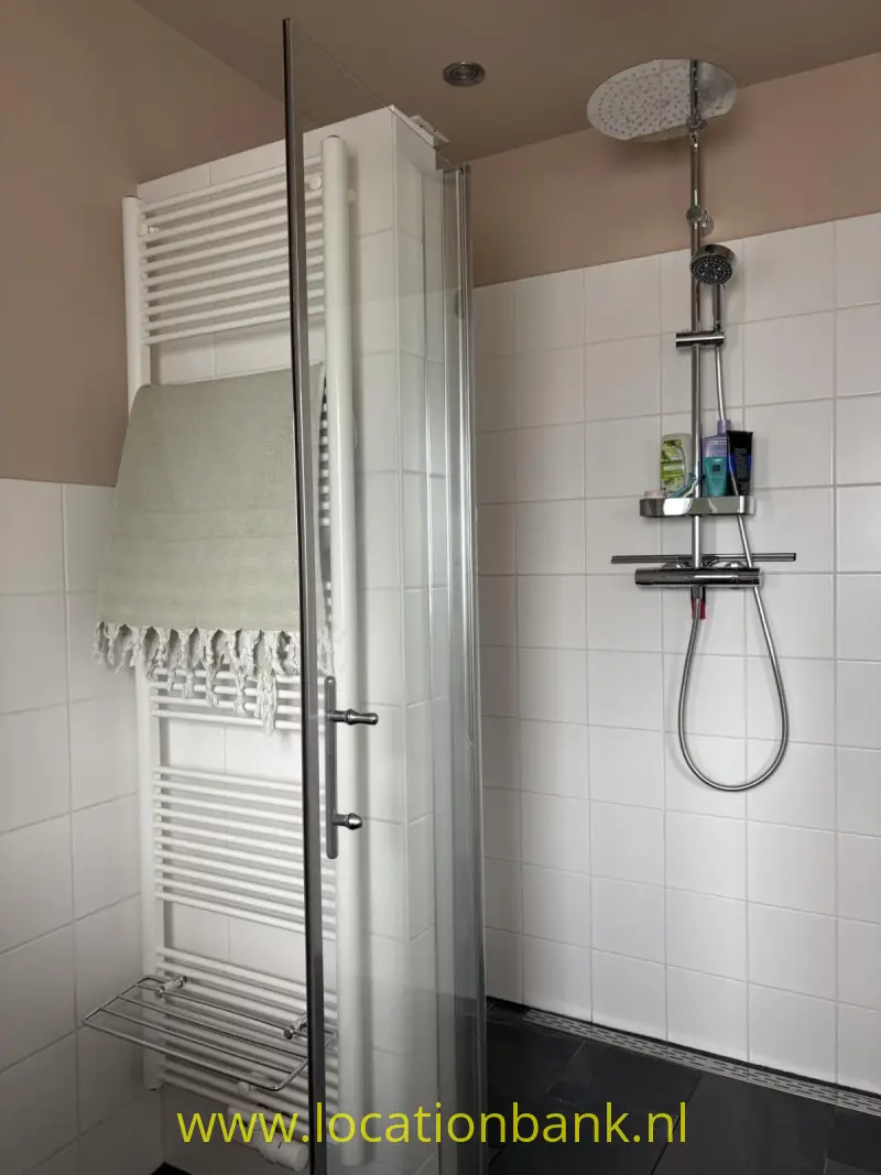 Inloopdouche met glazen deur, handdouche en regendouche naast een witte handdoekradiator.