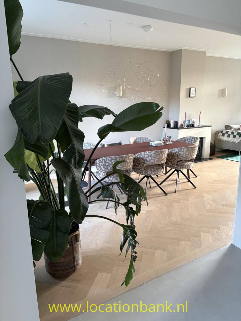 Eetkamer met grote tropische planten, een lange houten tafel, stoelen en een opvallende hanglamp.