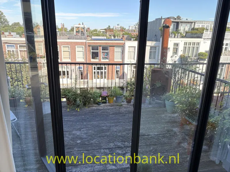 Balkon met planten in potten en een metalen balustrade, uitkijkend op aangrenzende stadswoningen.