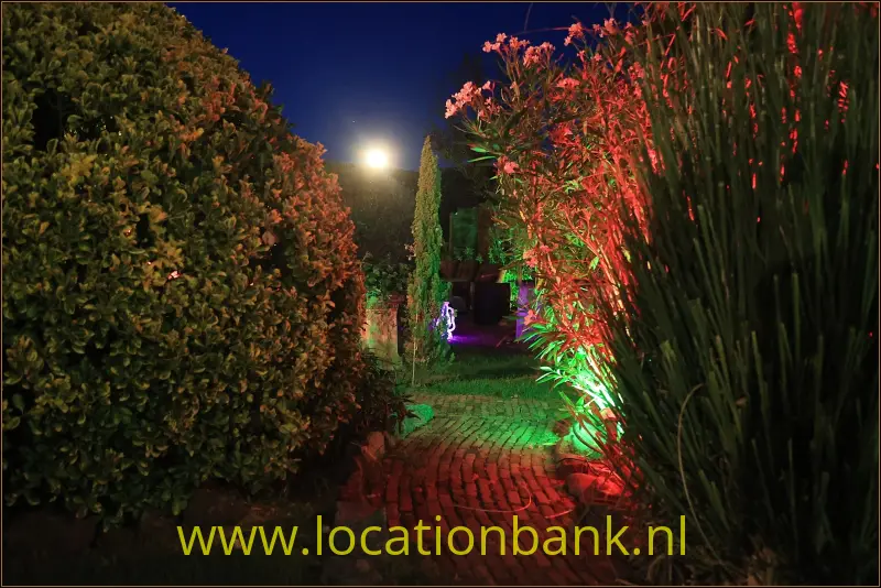 Een verlicht bakstenen tuinpad loopt tussen hoge hagen en siergrassen met kleurrijke avondverlichting.