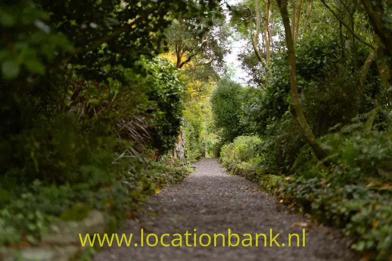 Een smal grindpad loopt door dicht groen met hoge bomen en gesnoeide struiken.