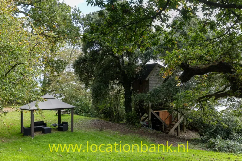 Een houten hut staat tussen de bomen, naast een open overkapping aan de rand van een grasveld.