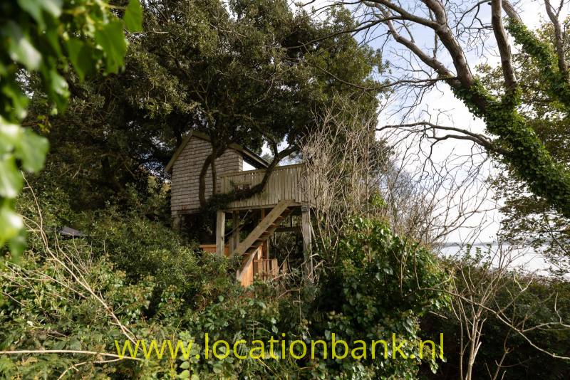 Een houten boomhut staat hoog tussen dicht struikgewas en bomen.