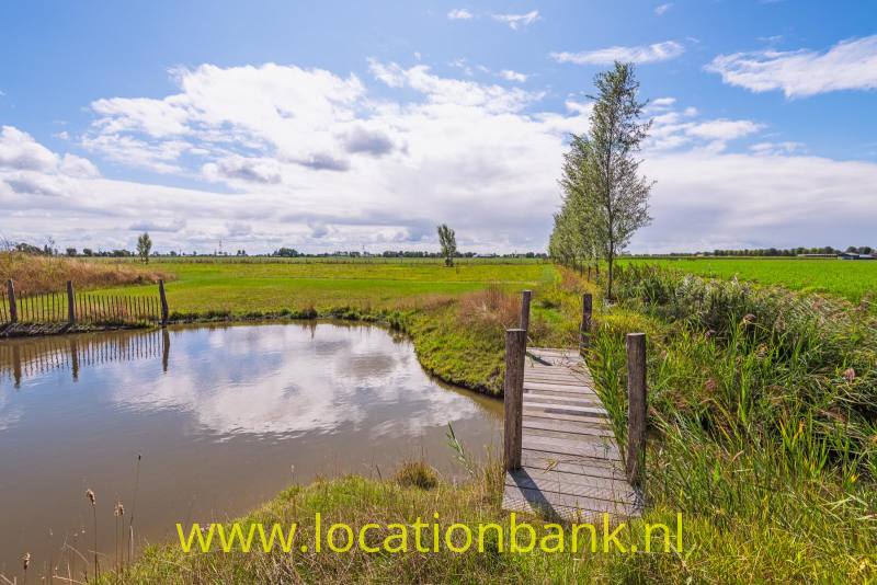 Een houten loopbrug leidt over een sloot, met groene velden, riet en een boom onder een wolkenlucht.