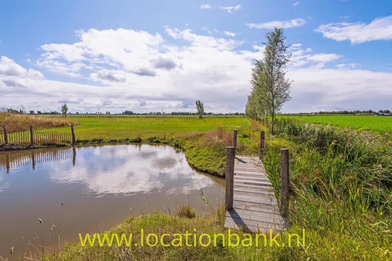 Een houten loopbrug leidt over een sloot, met groene velden, riet en een boom onder een wolkenlucht.