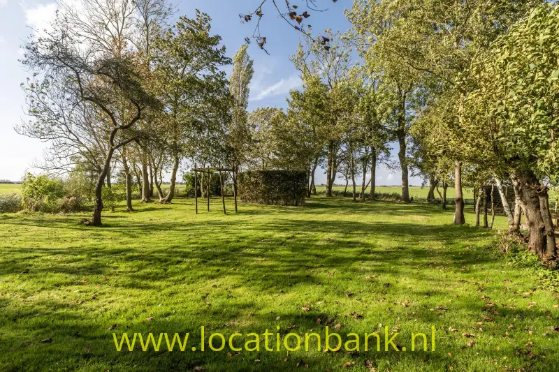 Grasveld met verspreid staande loofbomen en een eenvoudig open frame onder een heldere hemel.