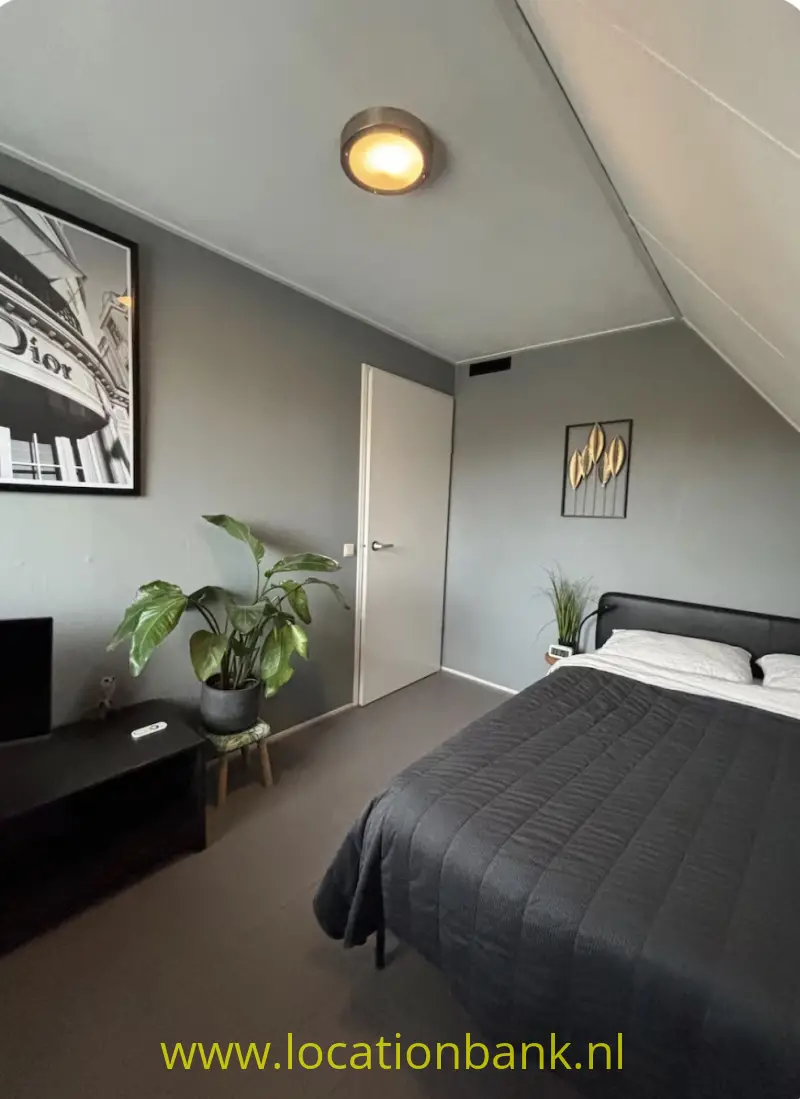Slaapkamer met een bed met donkergrijze sprei, kamerplanten, kunst aan de muur en een gesloten deur.