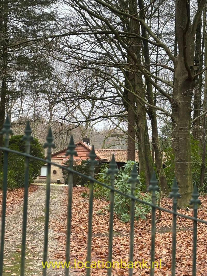 Donker metalen hekwerk staat op de voorgrond, met een klein gebouw met rood pannendak tussen de bomen.