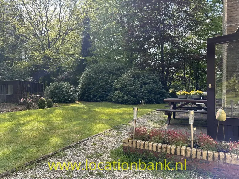 Grasveld en picknicktafel op een grindterras naast een houten gebouw, omgeven door bomen en borders.