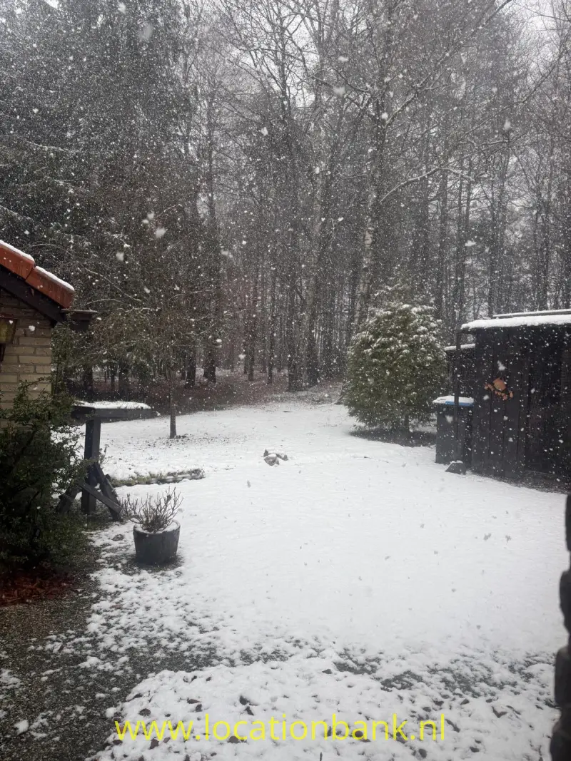 Besneeuwde tuin met bomen, struiken, een houten tuinhuis en een met sneeuw bedekt terras.