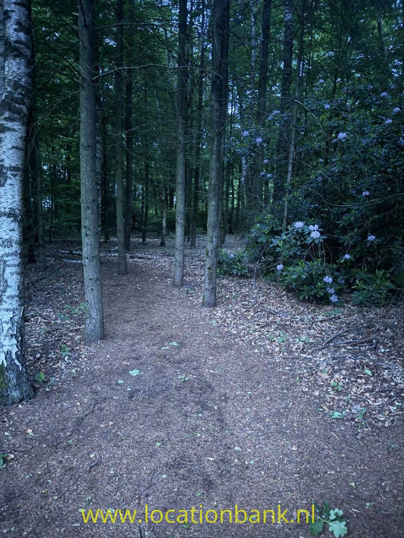 film location 3957