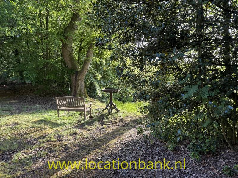 Houten bankje en metalen tafel staan op een open plek tussen bomen en struiken.