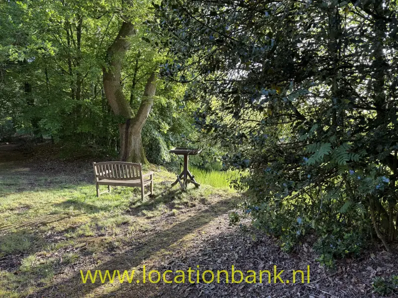 Houten bankje en metalen tafel staan op een open plek tussen bomen en struiken.