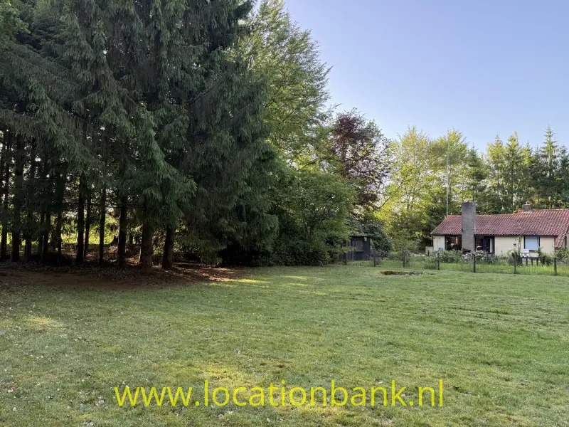 Een gemaaid grasveld ligt voor een laag huis met een rood pannendak, omringd door hoge bomen.