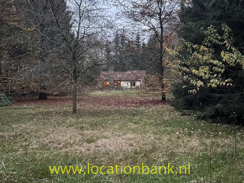 Een klein gebouw staat tussen bomen aan de rand van een met bladeren bedekt grasveld.